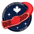 Team CLOT-LESS mission patch: a red blood vessel containing a fibrin clot, crossing a deep navy roundel marked University of British Columbia and CLOT-LESS, with a white maple leaf and stars.