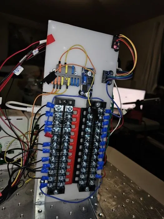 The paired terminal blocks forming the positive and negative 24 volt buses, wired to the relay module above.
